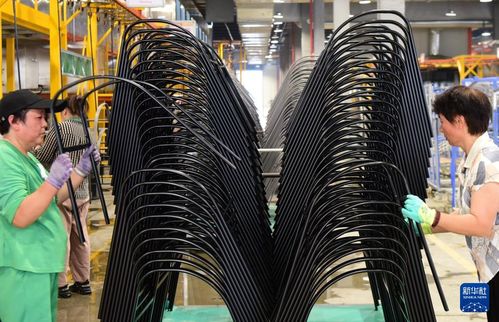 河南平舆 打造“中国户外休闲产业之都”新名片